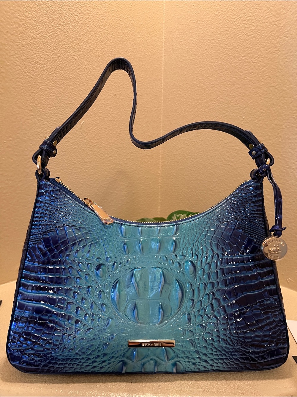 Brahmin Esme Affinity Ombre Melbourne